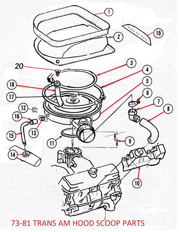 77 - 81 TRANS AM SHAKER HOOD SCOOP PARTS