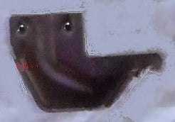 QUARTER GLASS LOWER STOP ,LEFT 71-5 B-BODY