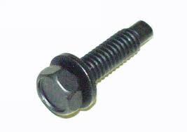 DOOR HINGE BOLT, EACH, NEW, 68-81 ALL