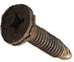 DOOR HINGE SCREW, PHILLIPS EA, NEW 62-67 MOST GM CARS