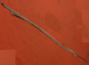 INSIDE HANDLE ROD ,USED 65 66 B-C-BODY