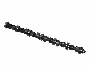 CAMSHAFT ,OHC6 SPRINT, 66- 69 PONTIAC