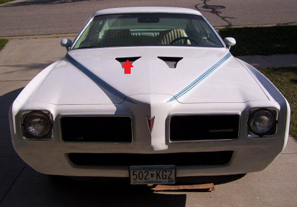NASA HOOD SCOOP SCREENS, PAIR, NEW, 73 GTO 73-75 GRAND AM