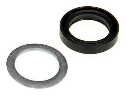 STEERING BOX PITMAN SHAFT SEAL KIT, 66-96 GM VEHICLES