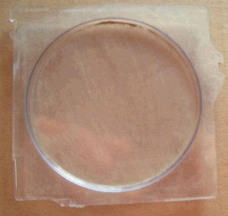 DASH GAUGE LENS, CLEAR, 70-2 SK GS, USED